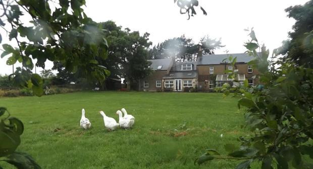 Cragside @ Stenmuir Apartment Kelso Bagian luar foto
